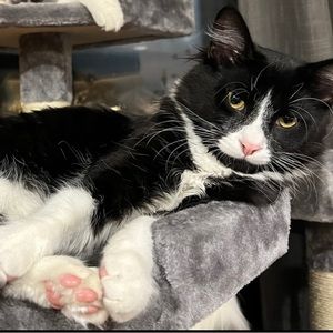 Meet your Posher, leandra